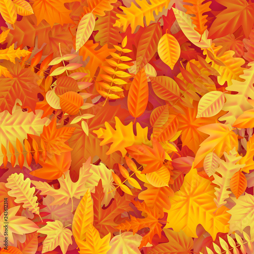 Background of colored wet autumnal maple leaves. EPS 10
