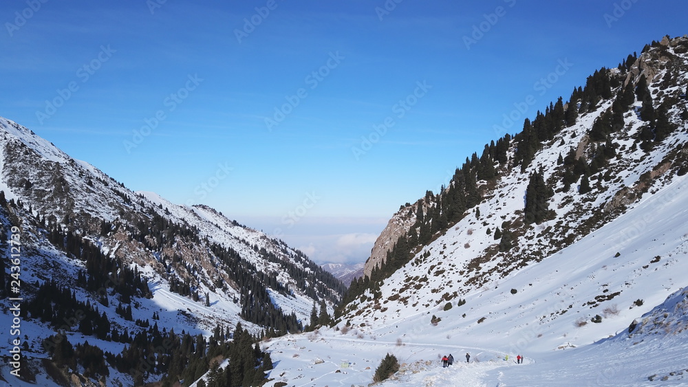 View from the snowy gorge in the mountains to the clouds and the city smog. Coniferous trees and firs are visible. Snowy mountains and grey ground. Gradient blue sky and dark clouds. Drone.