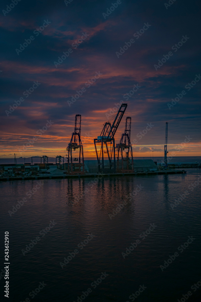 Cranes Sunset