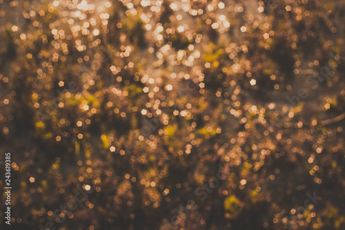 abstract bokeh background © Candies