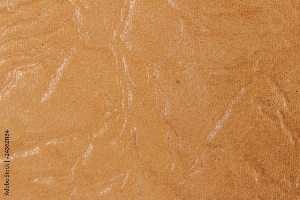 Fototapeta premium Beige leather texture for background