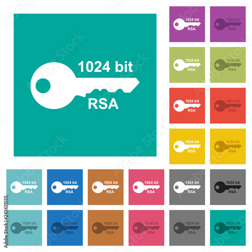 1024 bit rsa encryption square flat multi colored icons