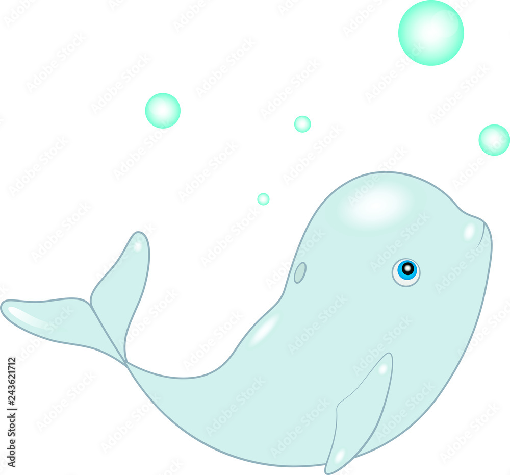 Obraz premium Delphinapterus leucas