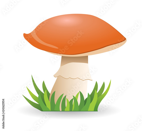 Mushroom boletus. vegetable healthy food. mushrooms isolated on white background. Vector cartoon close-up illustration.