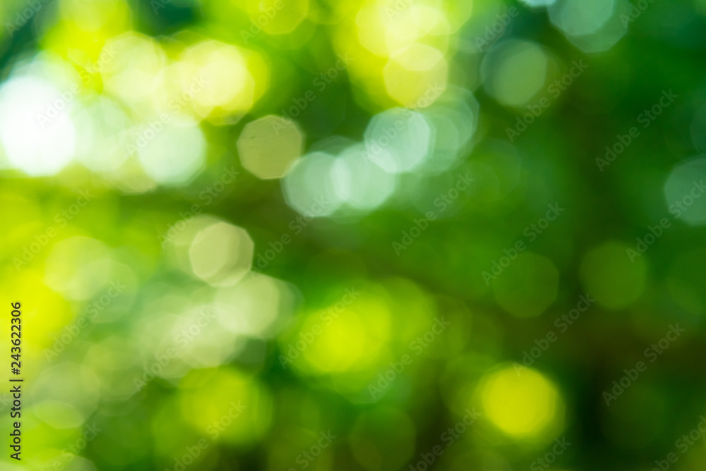 Light bokeh blurred background Light bokeh blurred background
