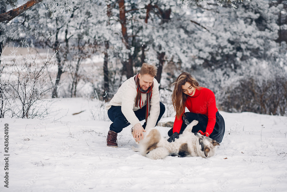 Beautiful couple playing with a dog Beautiful couple playing with a dog
