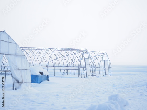 Fototapeta Naklejka Na Ścianę i Meble -  北海道の冬 農家の風景