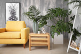 Green tropical plants in interior of living room