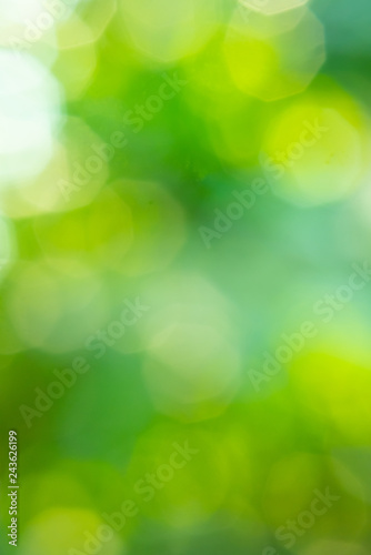 Light bokeh blurred background