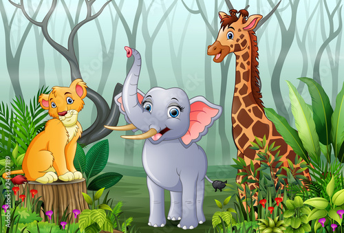 Animals cartoon with a view of the forest in the fog