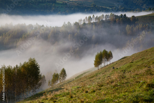 foggy summer landscape in the mountains  Salciua  Romania