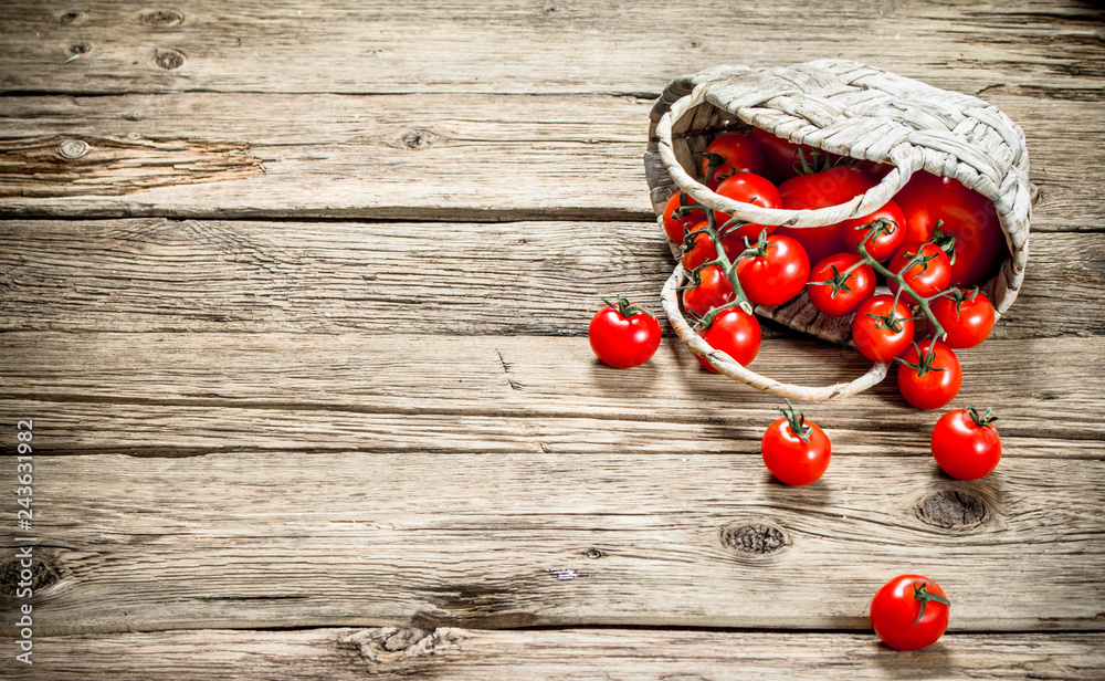 Fresh tomatoes in a basket. Fresh tomatoes in a basket.