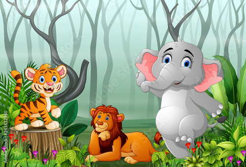 Animals cartoon with a view of the forest in the fog