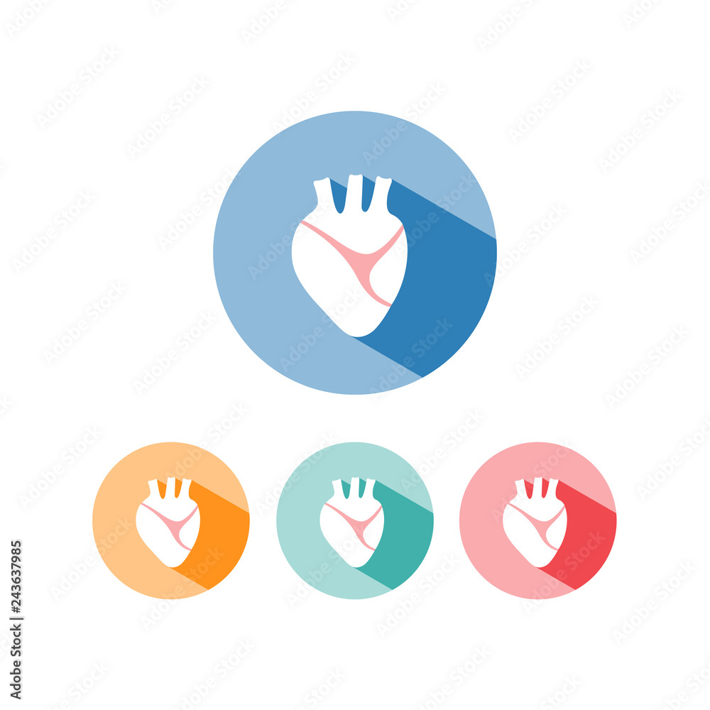 Human heart icon with shade on colored circles Human heart icon with shade on colored circles