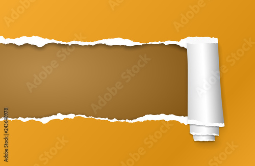 Rolled and ripped orange paper sheet for text. Vector illustration