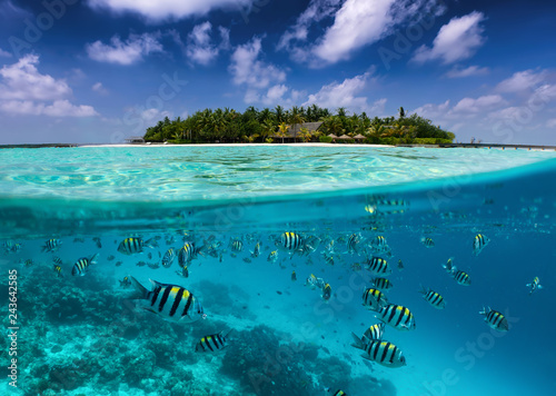 Tropische Insel auf den Malediven mit bunter Unterwasserwelt, Fischen, Korallen und blauem Himmel