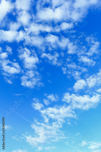 雲のメタファー　群