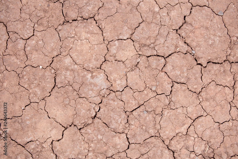 texture of dry crackled soil dirt or earth during drought. texture of dry crackled soil dirt or earth during drought.