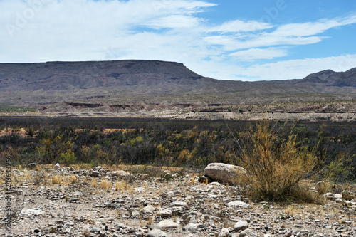 Pierce Ferry Road landscapes, Meadview. Grand Canyon National park, Arizona, USA photo