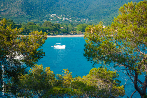 Billede på lærred Landscape of the Calanques du Layet in Le Lavandou