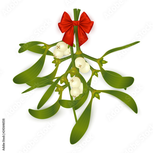 Mistletoe with bow