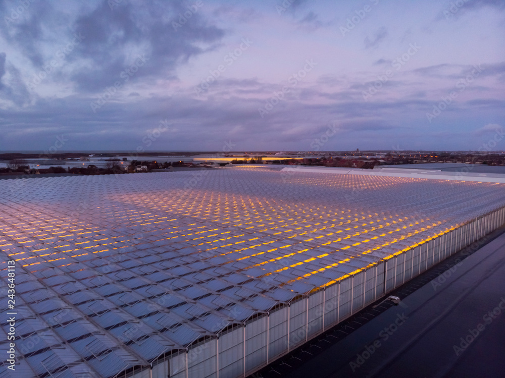 aerial of agricultural greenhouses in the Netherlands