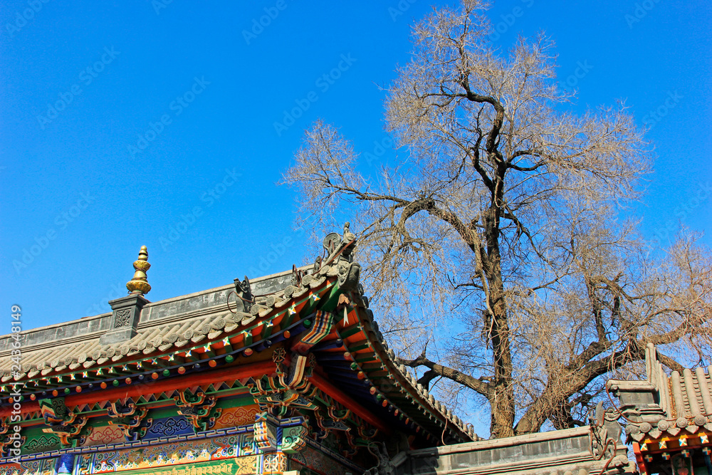 Gray roof in the Five Pagoda Temple, China Gray roof in the Five Pagoda Temple, China