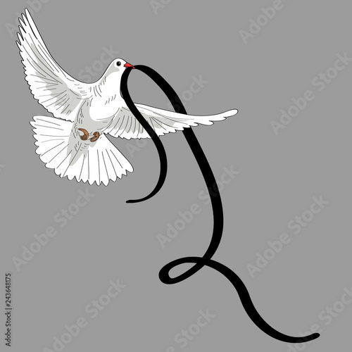 Rest in Peace. Flying pigeon with black ribbon on grey background. Vector illustration of white pigeon flying on light grey background with black ribbon. RIP