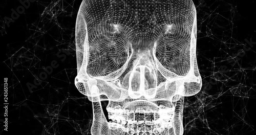 Emerging White Dot Skull 3D Animation on Black Background 4k Video.