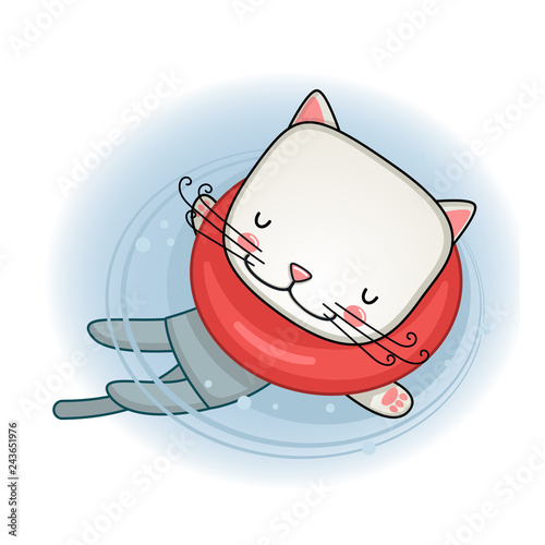 Cat goes to bathe
