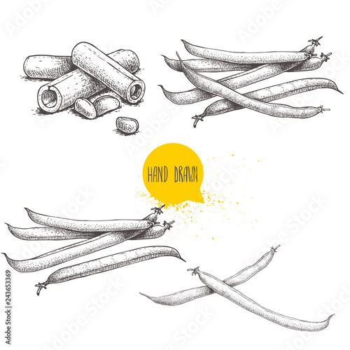 French green beans pods set. Collection of hand drawn sketches. Whole and cut. Vector illustrations isolated on white background. Healthy organic food collection.