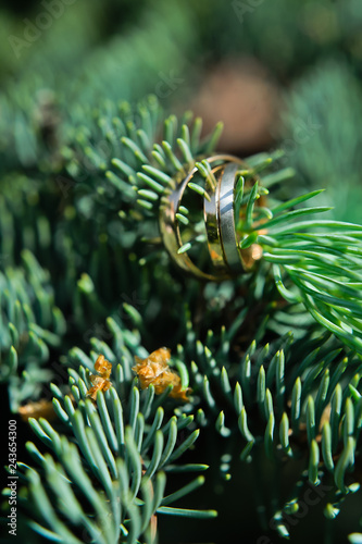 Gold wedding rings with diamonds of the bride and groom  close-up