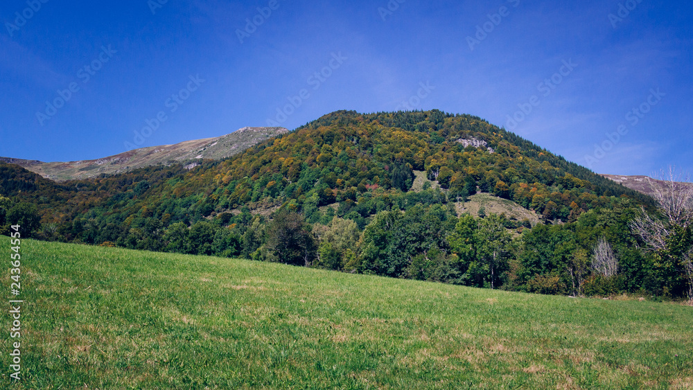 The hill and the meadow The hill and the meadow