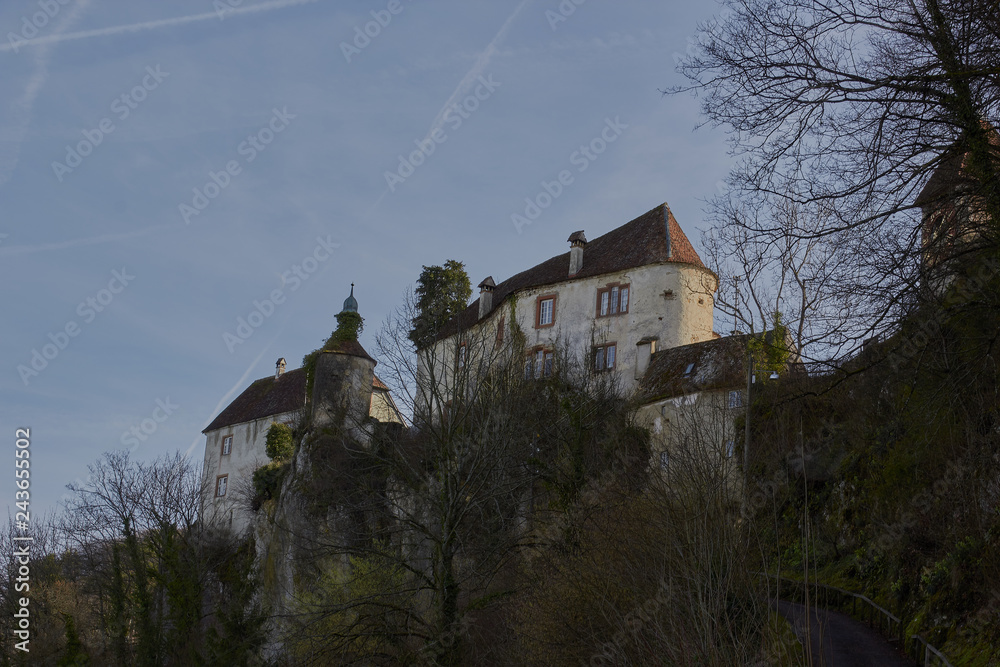 Burg (frz. La Bourg) ist eine im Leimental gelegene politische Gemeinde im Bezirk Laufen des Kantons Basel-Landschaft in der Schweiz