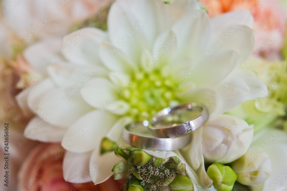 Wedding rings of the bride and groom, close up