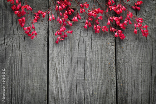 A bouquet of blooming flower Heuchera on the background of the old boards with a texture.