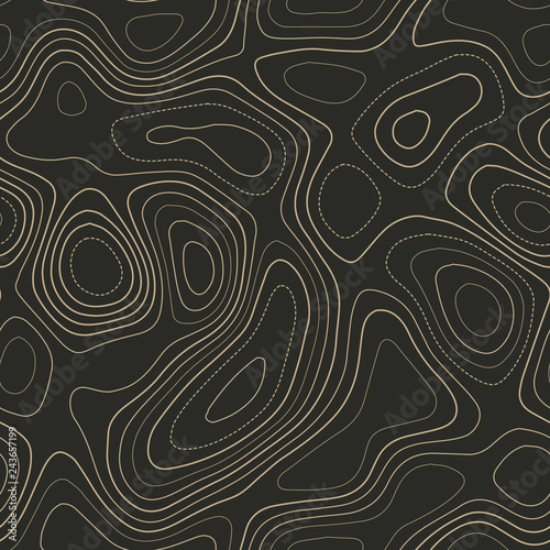 Topographic map. Actual topography map. Seamless design. Slightly tileable isolines pattern, vector illustration.