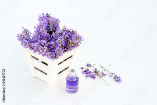 Fototapeta Naklejka Na Ścianę i Meble -  Fresh lavender in white basket and lavender essential oil on white wooden background.