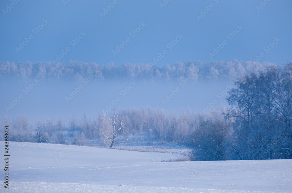 beautiful winter landscape with snow-covered trees in fog on a Sunny day beautiful winter landscape with snow-covered trees in fog on a Sunny day