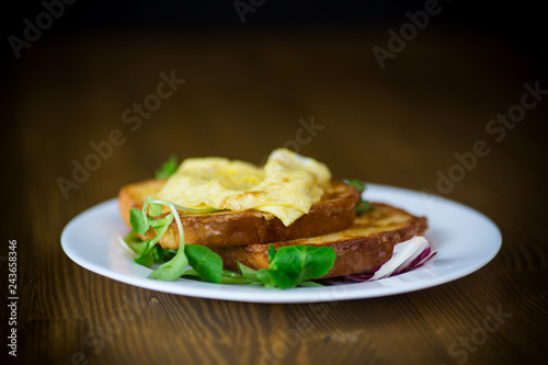 fried croutons in eggs with fried egg in a plate