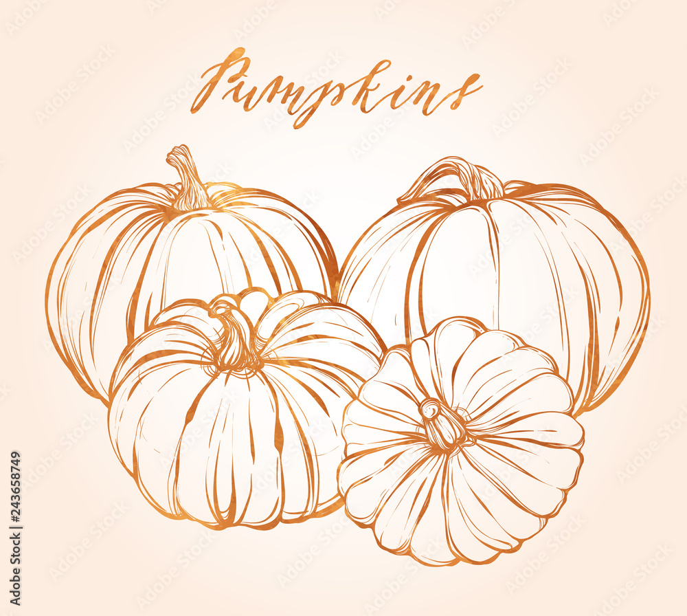 Autumn, handmade, vector,pumpkins, card for you Autumn, handmade, vector,pumpkins, card for you