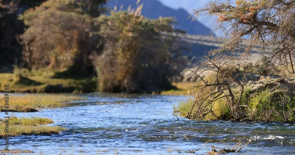 4K 60p video of flowing water stream of small river in Nubra Valley, Ladakh, Northern India. Beautiful nature background 4K 60p video of flowing water stream of small river in Nubra Valley, Ladakh, Northern India. Beautiful nature background