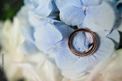 wedding rings, gold, close-up