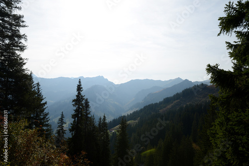 Allgäuer Alpen - Blick vom Walmendinger Horn 