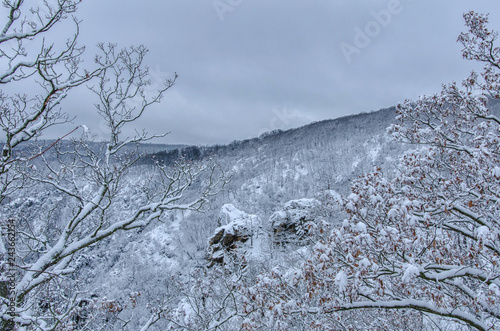 wonderful nature of the Harz mountains in centrail Germany in winter time photo