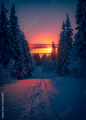 Winter sunset road view from Sotkamo, Finland. © ville