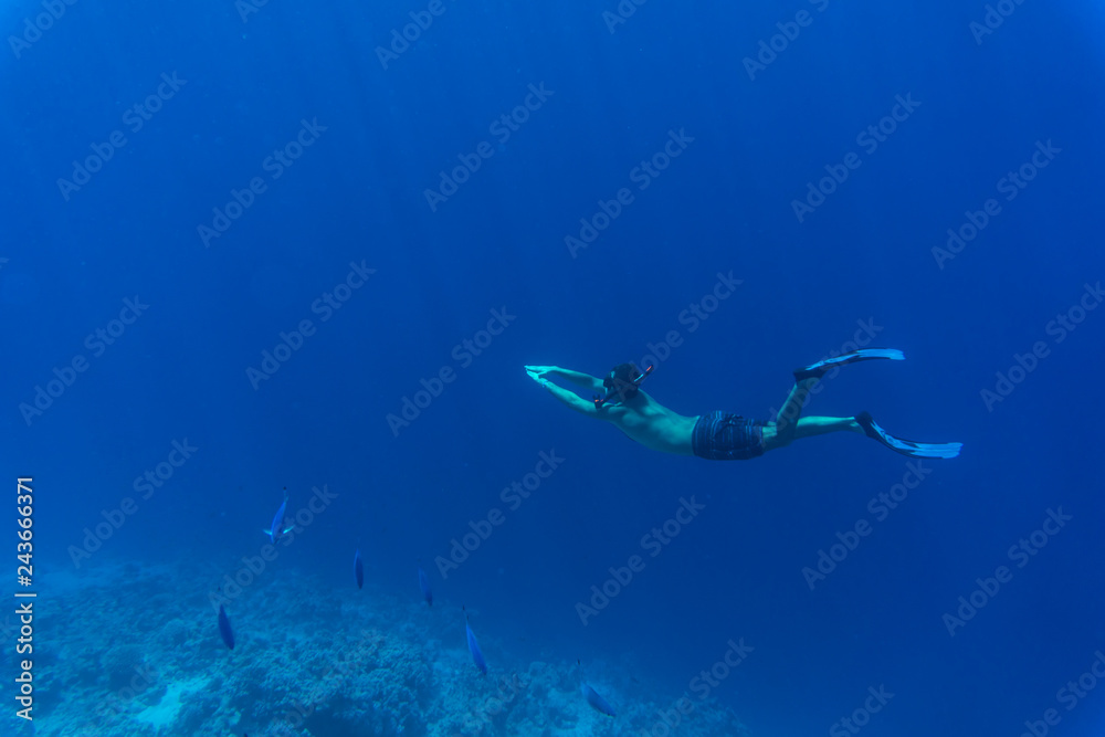 Snorkel man swims in shallow water with fishes in Red Sea