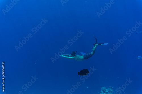 Young man snorkeling exploring underwater coral reef landscape background in the deep blue ocean with colorful fish and marine life © dianagrytsku
