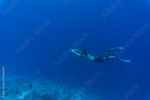 Snorkel man swims in shallow water with fishes in Red Sea © dianagrytsku