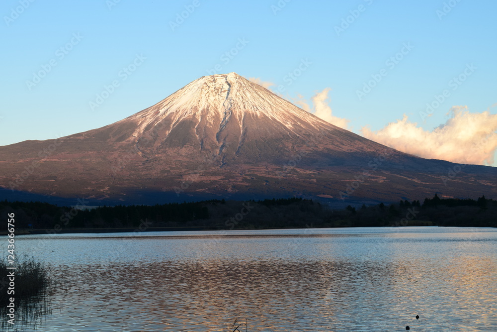 富士山　田貫湖